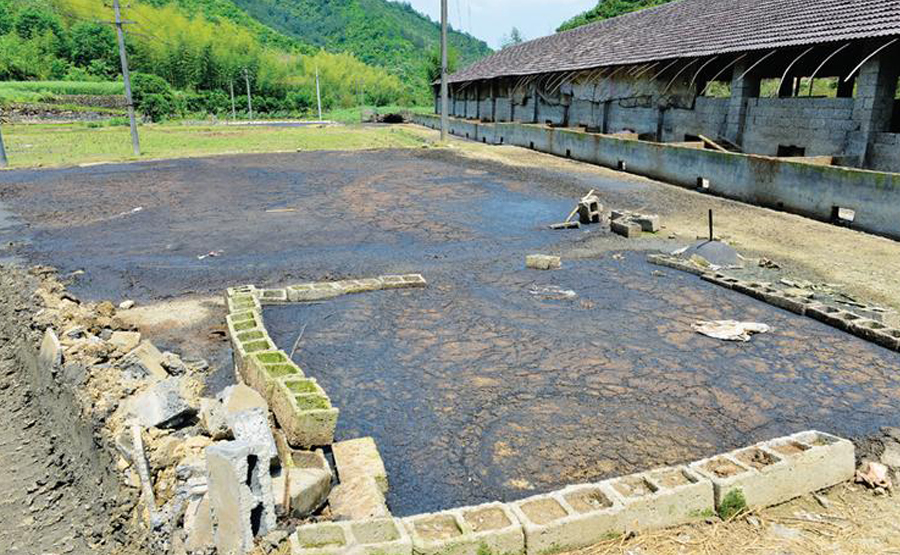 豬糞脫水機(jī)